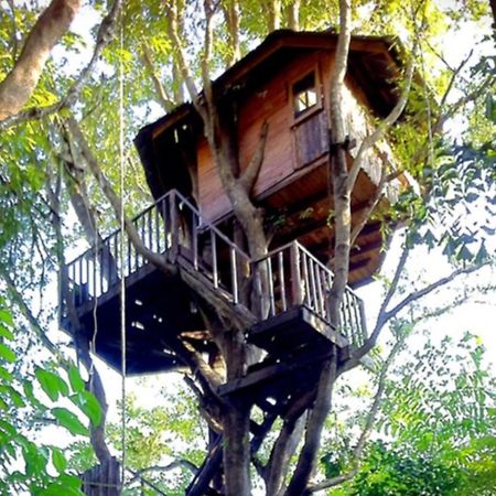 Rabeang Pasak Tree House Resort Chiang Mai Esterno foto